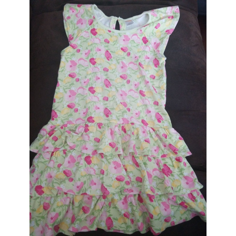 Gymboree fairy garden dress floral 8